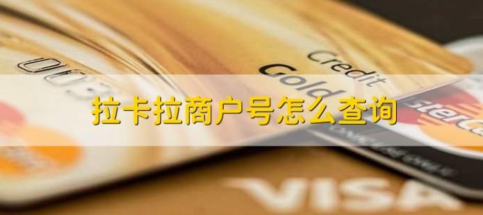 如何查詢拉卡拉商戶號(hào)