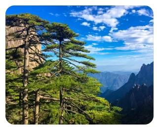 黃山市辦理POS機(jī)，POS機(jī)代理辦理個(gè)人刷卡機(jī)