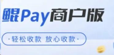 錢寶鯤pay結(jié)算505，支持大額支付寶